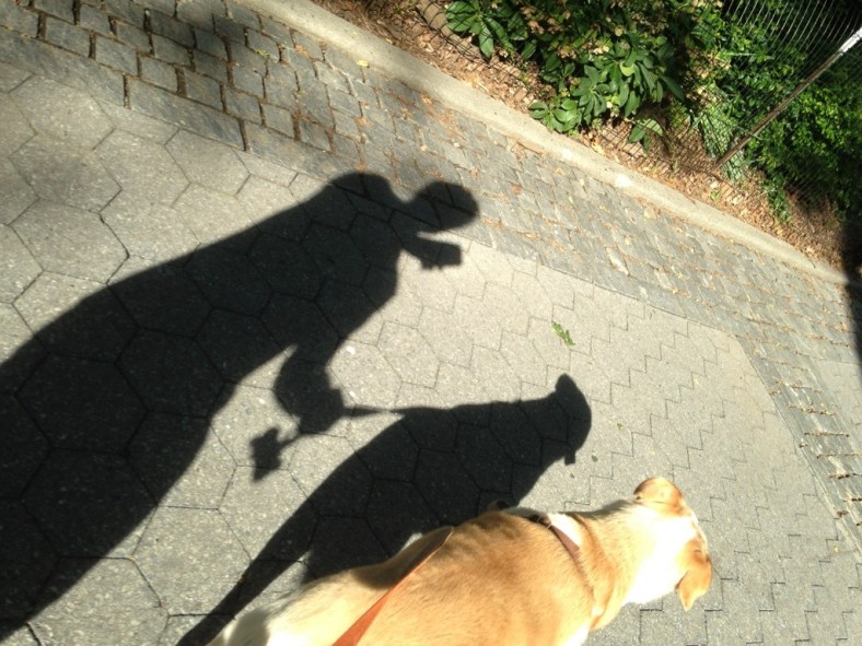 20130606-084130.jpg